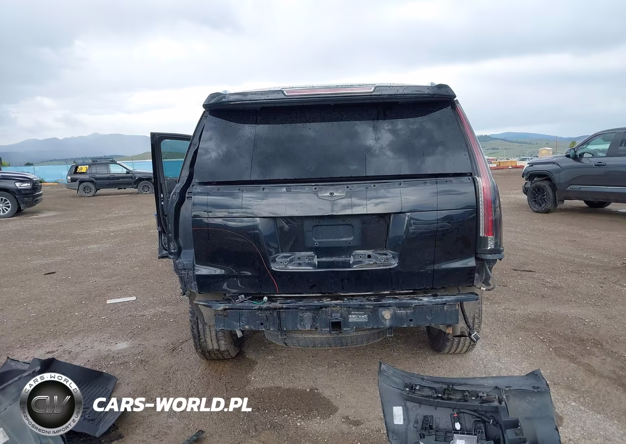 2018 Cadillac Escalade Standard VIN:1GYS4AKJ7JR254529 - 6