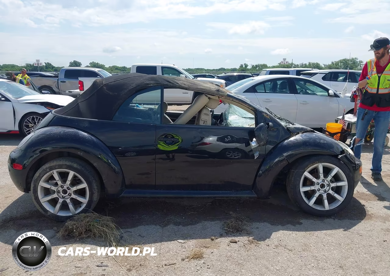 2003 Volkswagen New Beetle Gls VIN:3VWCK21Y43M306818 - 13