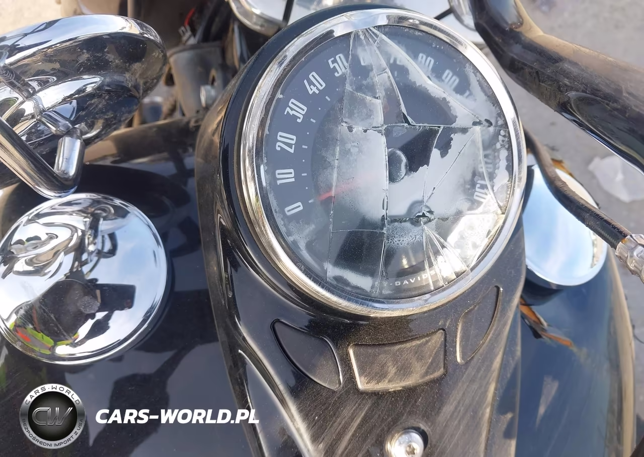 2019 Harley-Davidson Flhcs VIN:1HD1YBK24KB073501 - 7