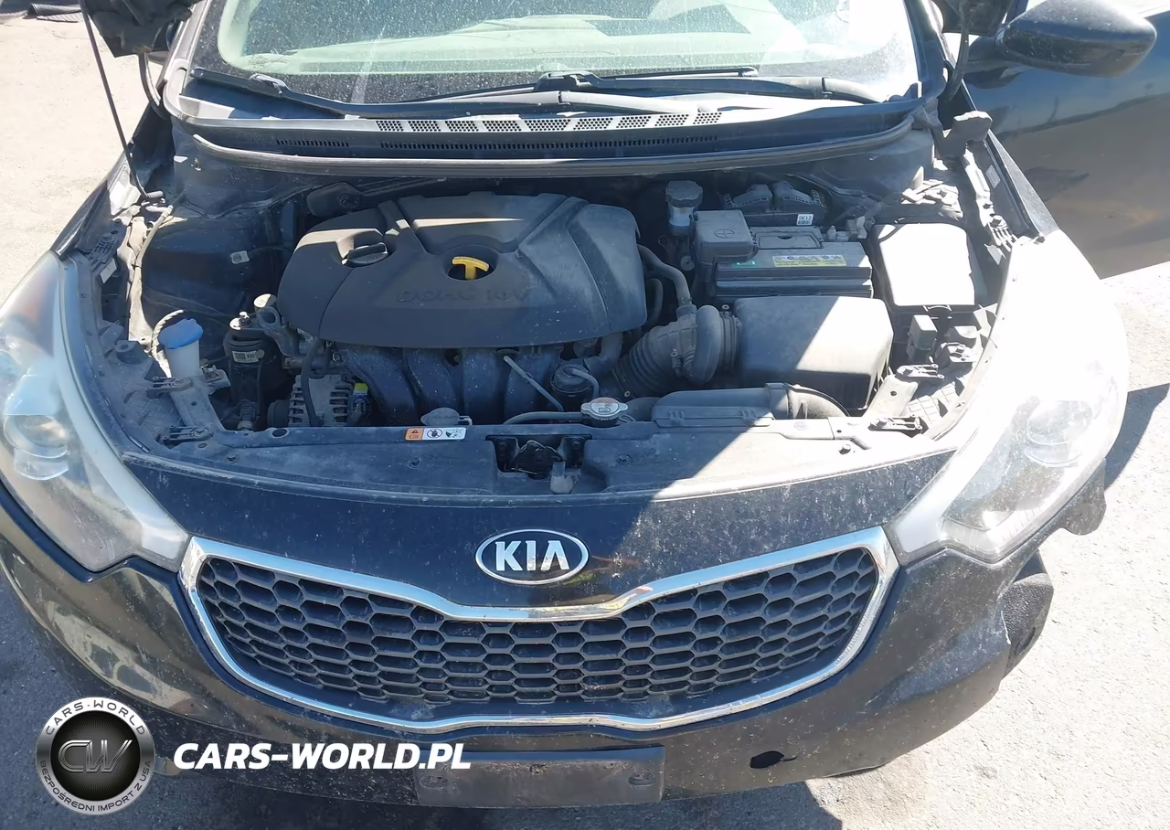 2016 Kia Forte Lx VIN:KNAFK4A69G5576808 - 10
