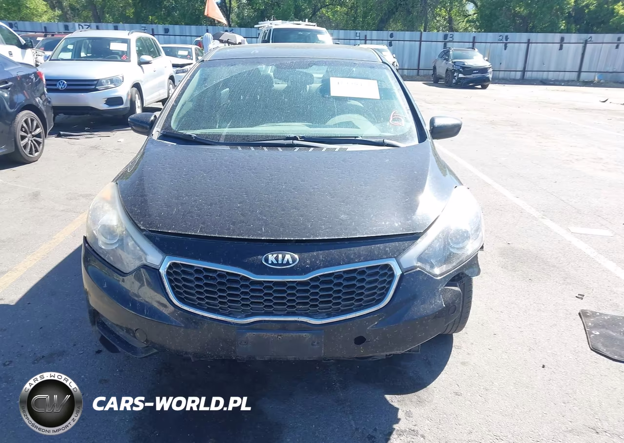2016 Kia Forte Lx VIN:KNAFK4A69G5576808 - 12