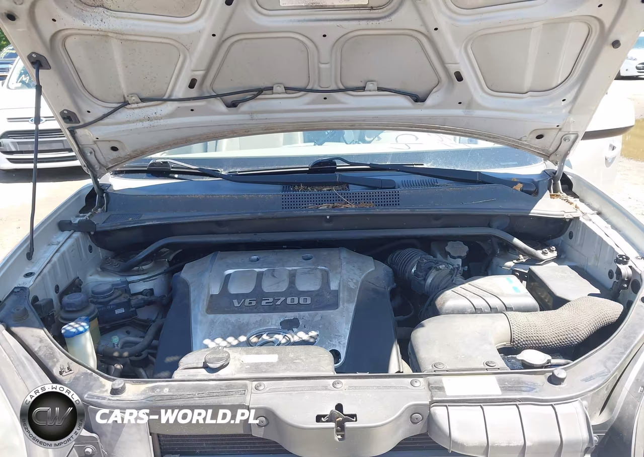 2006 Hyundai Tucson Gls-Limited VIN:KM8JN12D36U451979 - 10