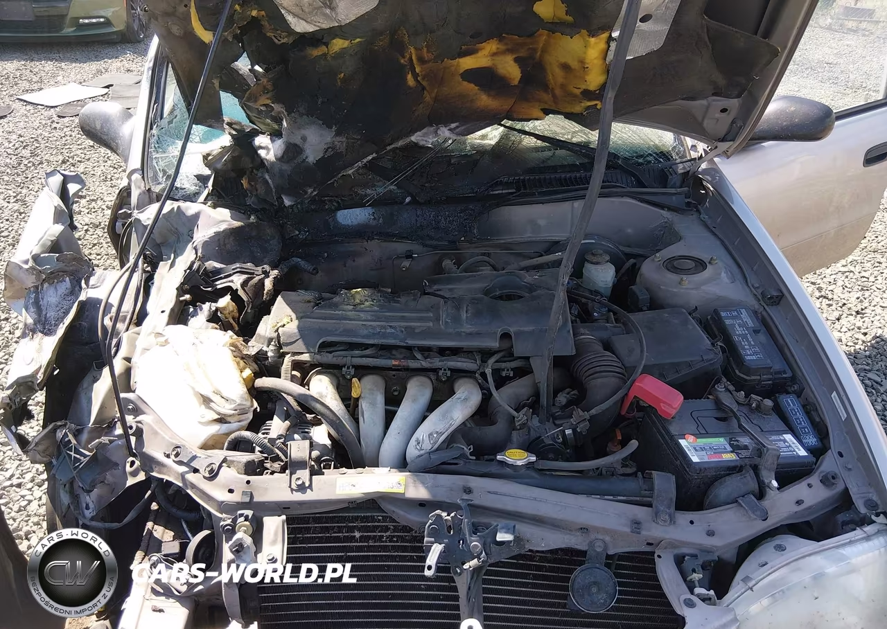 2000 Toyota Corolla Ve VIN:1NXBR12E1YZ364215 - 10