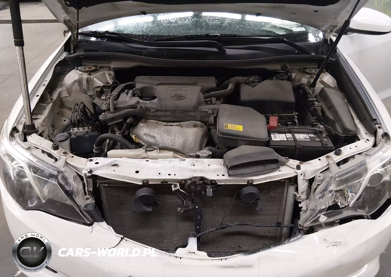 2013 Toyota Camry Se VIN:4T1BF1FK7DU699272 - 10