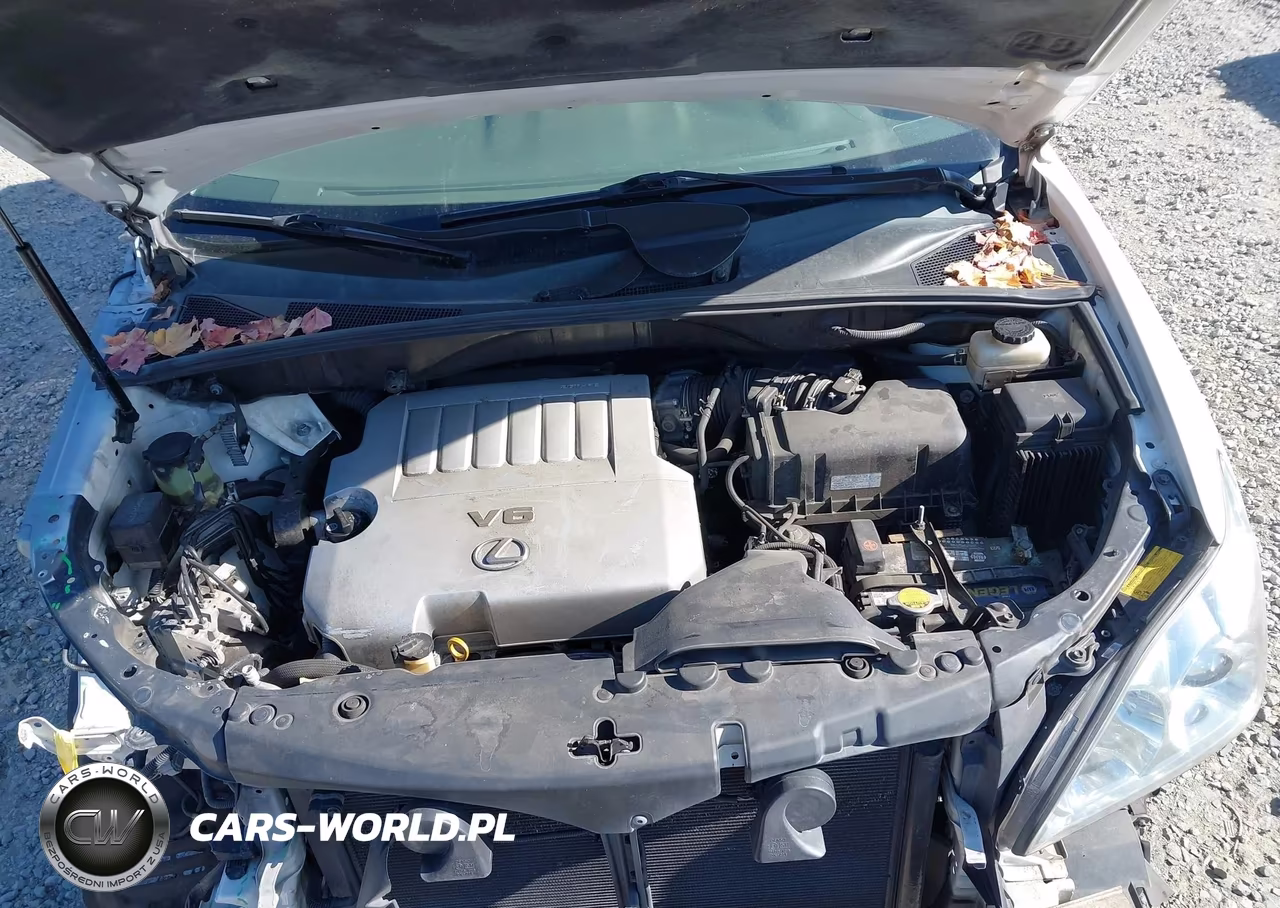 2007 Lexus Rx 350 VIN:2T2HK31U67C021723 - 10