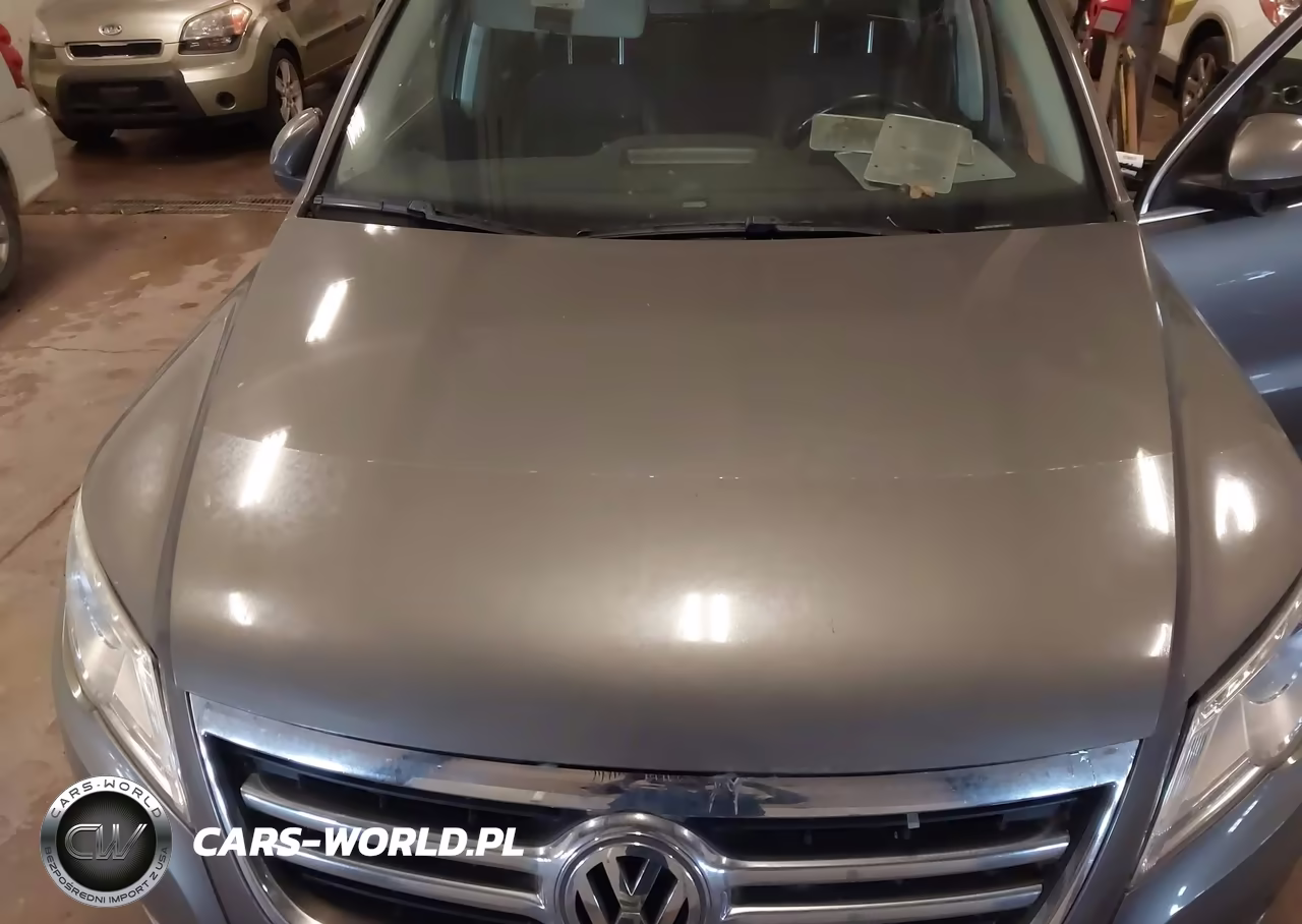 2011 Volkswagen Tiguan Se VIN:WVGBV7AX1BW561561 - 10
