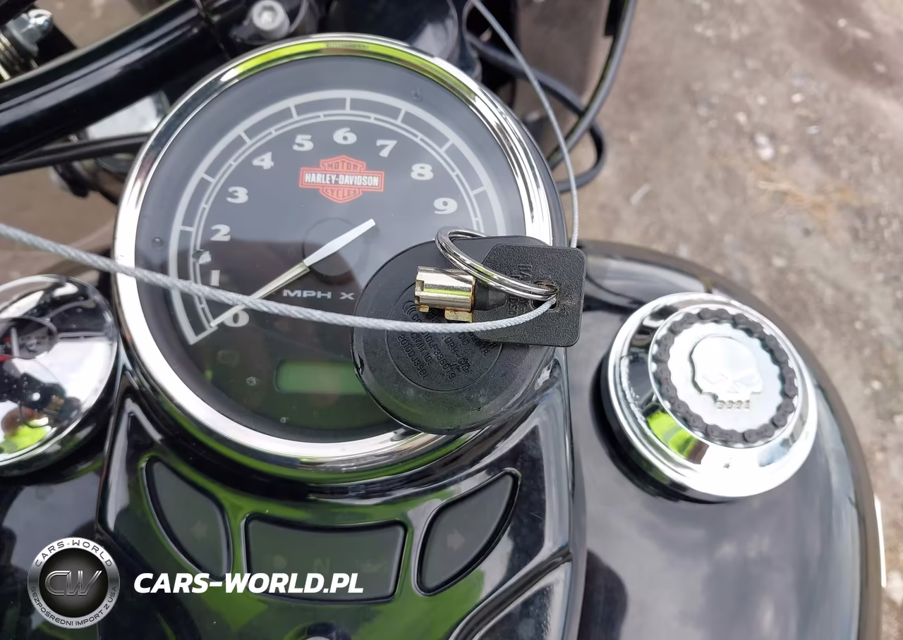 2016 Harley-Davidson Flss VIN:1HD1JS910GB016088 - 11