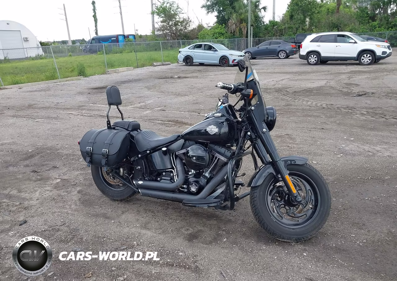 2016 Harley-Davidson Flss VIN:1HD1JS910GB016088 - 12