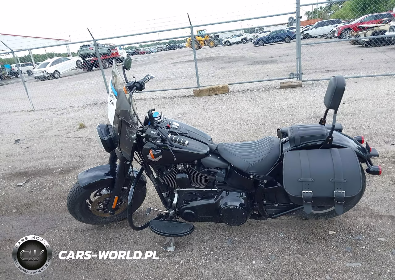 2016 Harley-Davidson Flss VIN:1HD1JS910GB016088 - 13