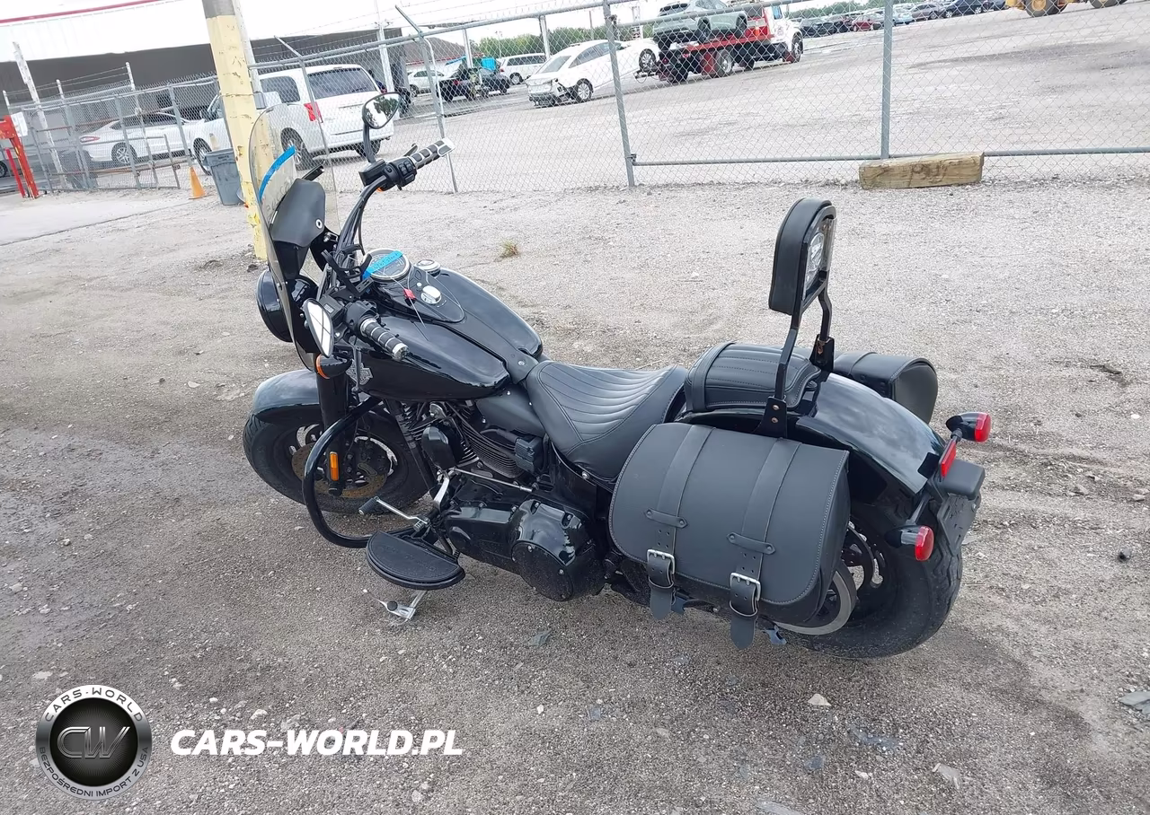 2016 Harley-Davidson Flss VIN:1HD1JS910GB016088 - 3