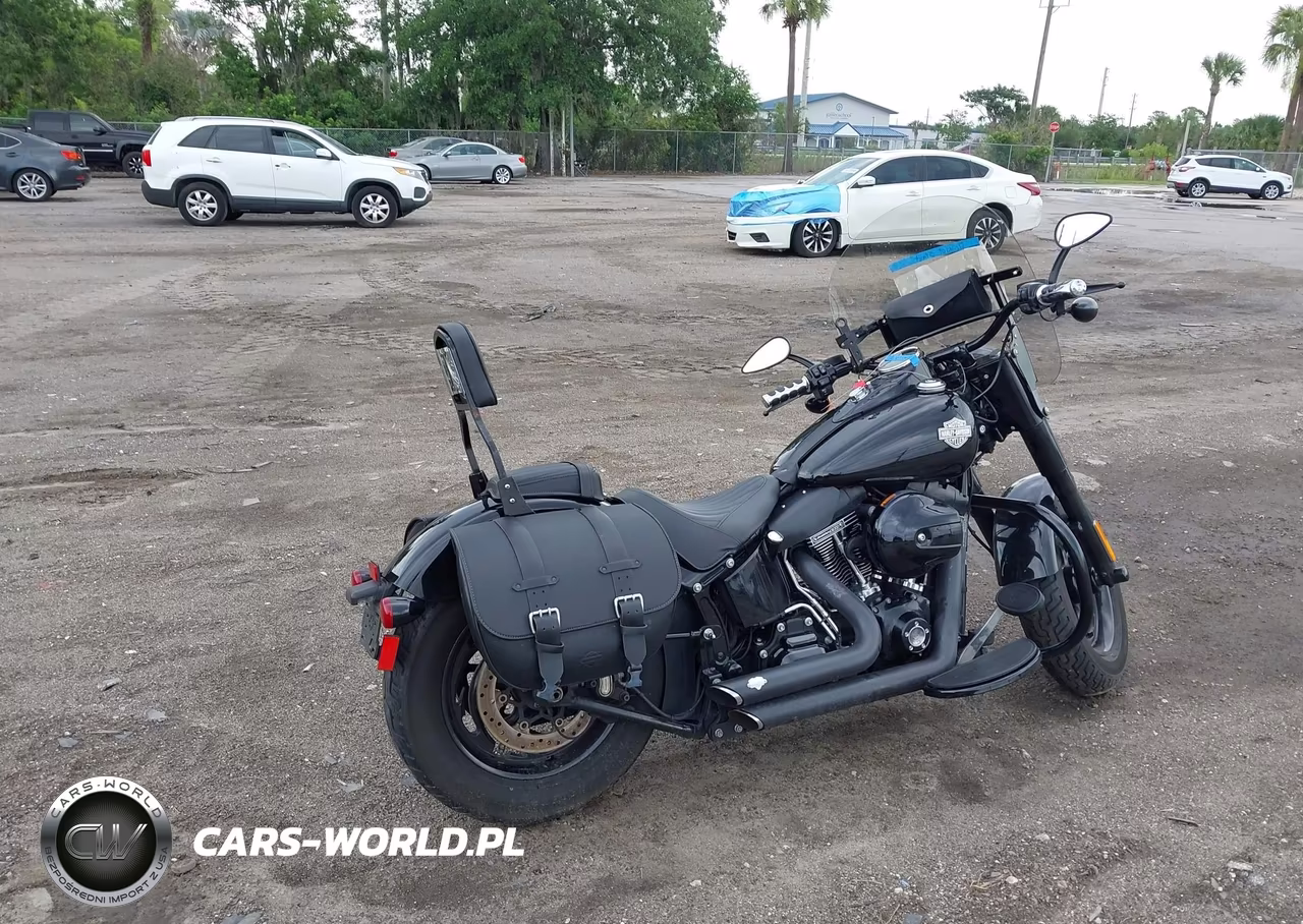 2016 Harley-Davidson Flss VIN:1HD1JS910GB016088 - 4