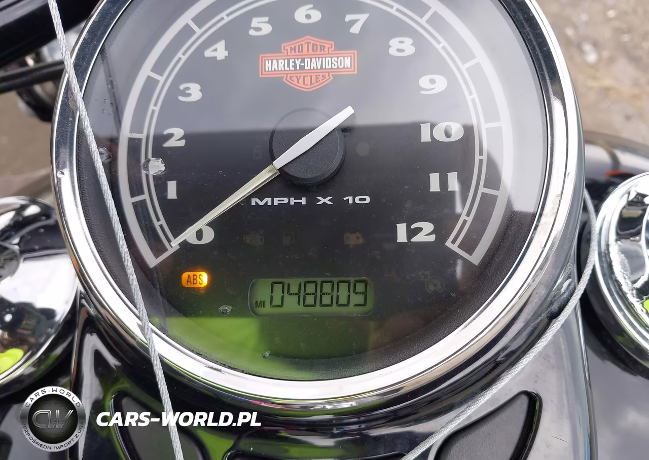 2016 Harley-Davidson Flss VIN:1HD1JS910GB016088 - 7