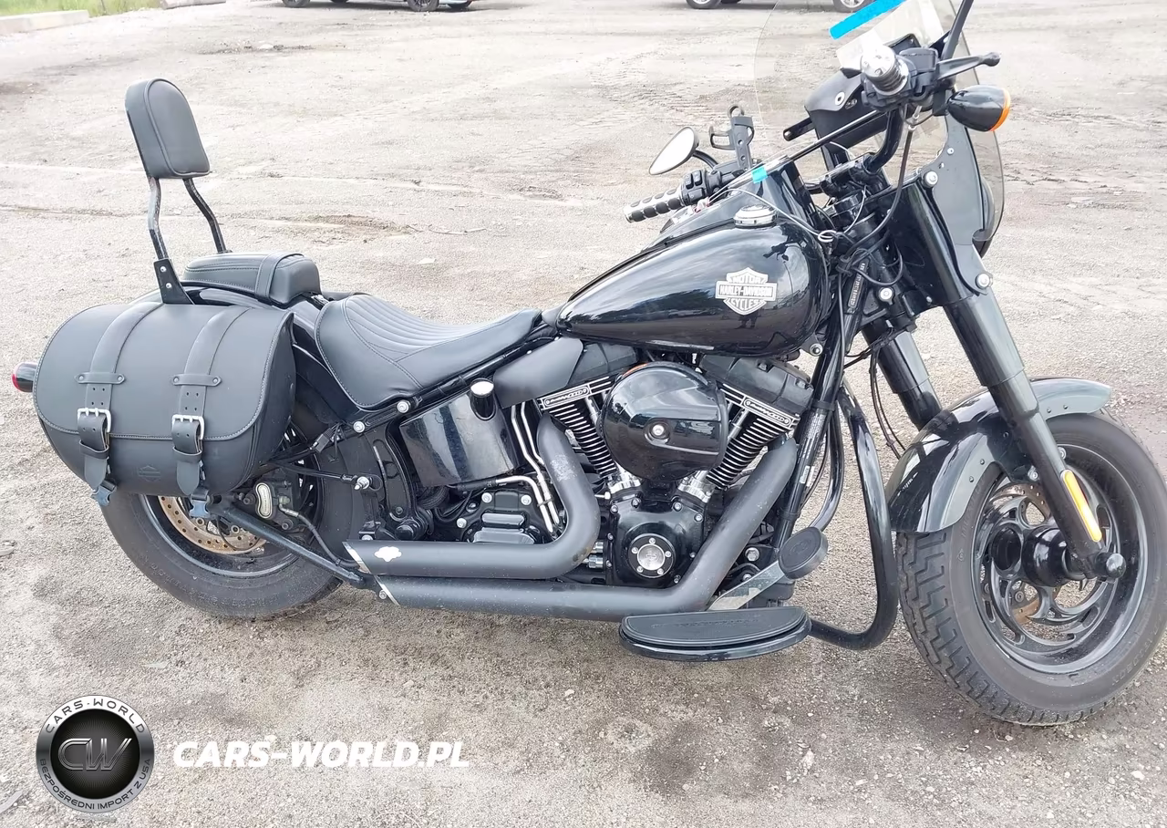 2016 Harley-Davidson Flss VIN:1HD1JS910GB016088 - 8