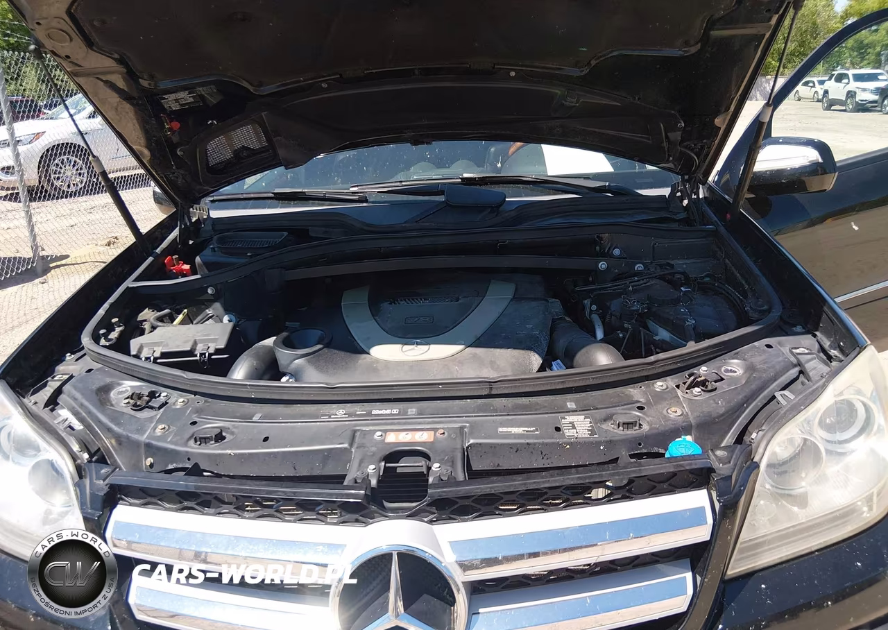 2009 Mercedes-Benz Gl 450 4Matic VIN:4JGBF71E59A444830 - 10