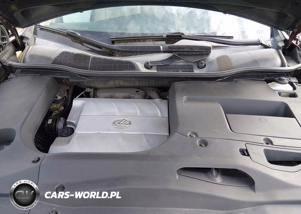 2015 Lexus Rx 350 VIN:2T2BK1BA8FC327125 - 10