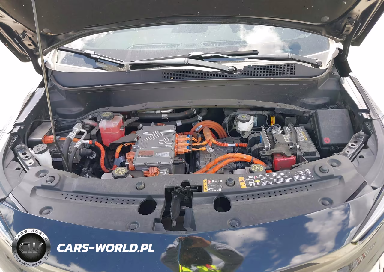 2023 Chevrolet Bolt Euv Fwd Premier VIN:1G1FZ6S00P4178051 - 10