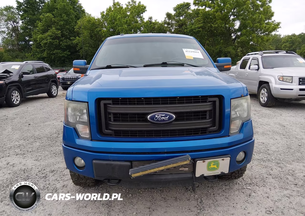 2013 Ford F-150 Fx4 VIN:1FTFW1ET6DFD42525 - 12