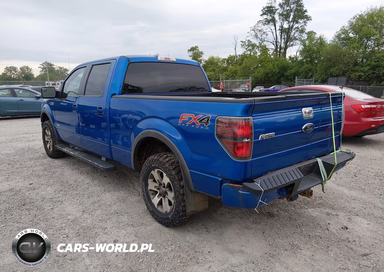 2013 Ford F-150 Fx4 VIN:1FTFW1ET6DFD42525 - 3