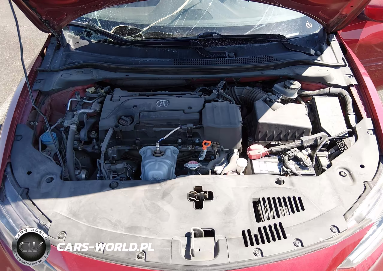 2019 Acura Ilx Premium Package-W-Technology Pkg VIN:19UDE2F73KA012208 - 10