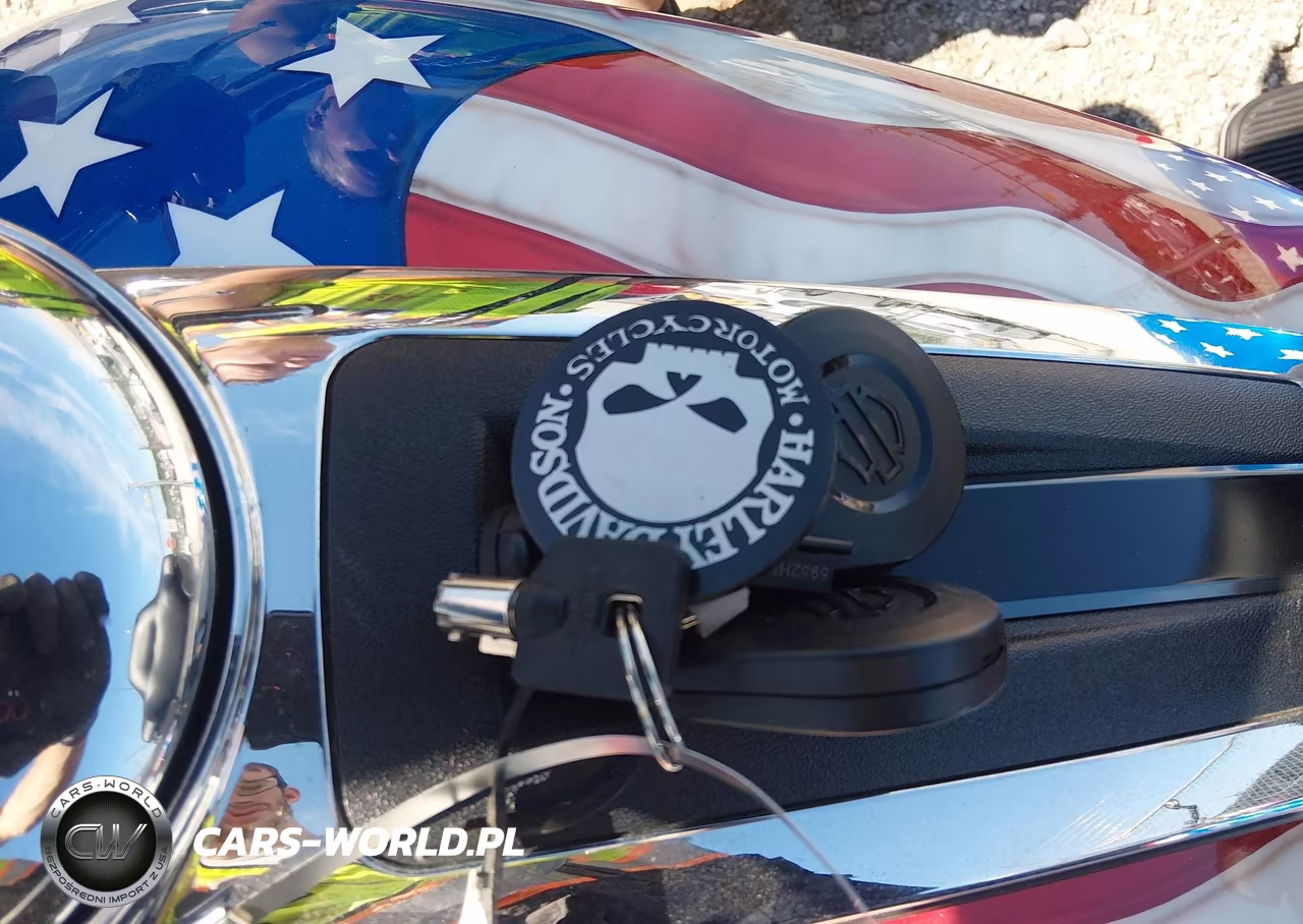 2019 Harley-Davidson Flhtcutg VIN:1HD1MAF1XKB859830 - 11
