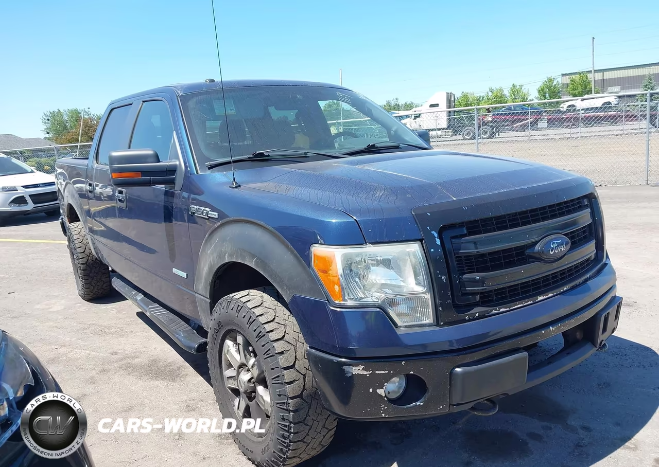 2013 Ford F-150 Xlt – zdjęcie 1 z 16