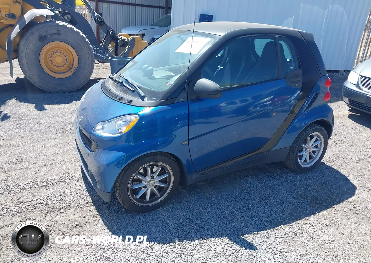 2010 Smart Fortwo Passion-Pure VIN:WMEEJ3BA0AK342162 - 2