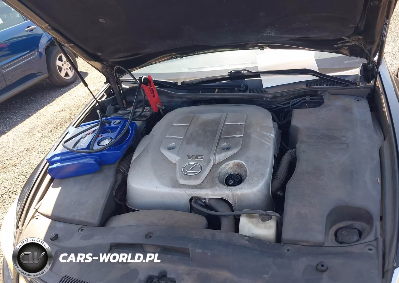 2006 Lexus Gs 300 VIN:JTHBH96S165032965 - 10