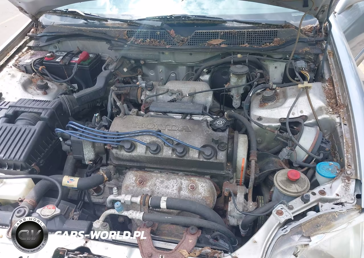 1999 Honda Civic Ex VIN:1HGEJ8241XL049297 - 10
