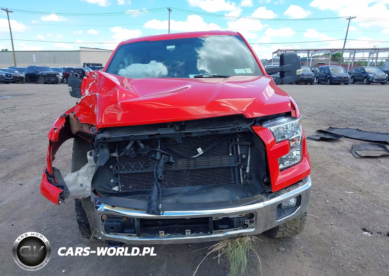 2015 Ford F-150 Xlt VIN:1FTEW1EP8FFD04943 - 13