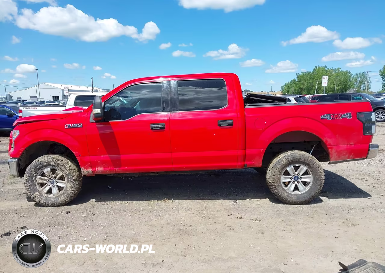 2015 Ford F-150 Xlt VIN:1FTEW1EP8FFD04943 - 15