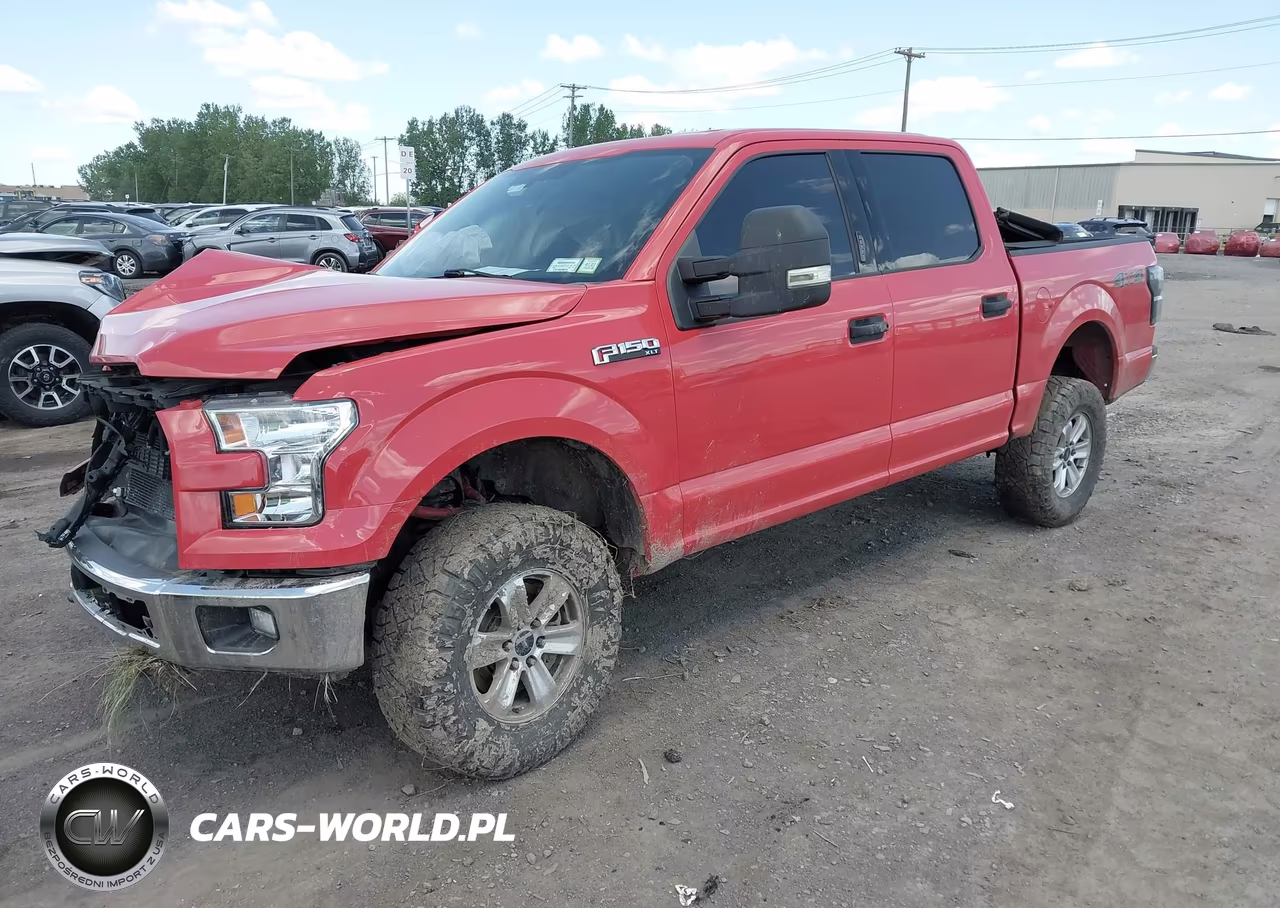 2015 Ford F-150 Xlt VIN:1FTEW1EP8FFD04943 - 2