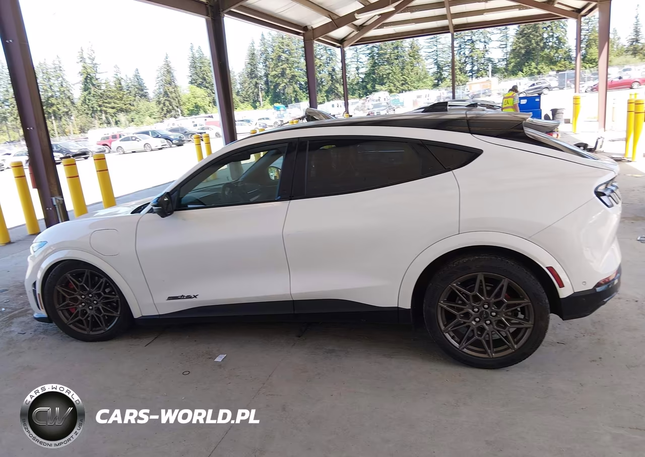 2024 Ford Mustang Mach-E Gt VIN:3FMTK4SX2RMA19616 - 15