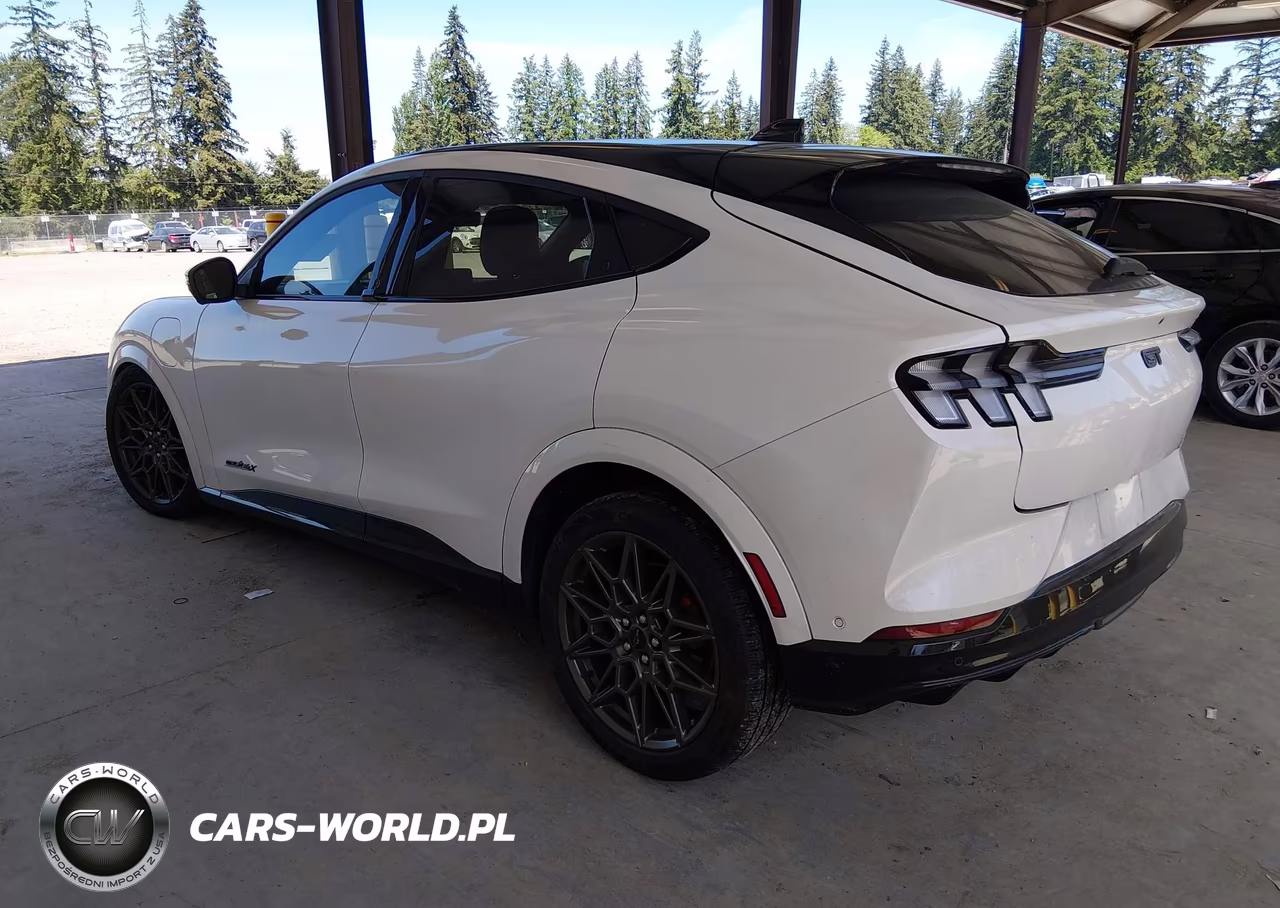 2024 Ford Mustang Mach-E Gt VIN:3FMTK4SX2RMA19616 - 3