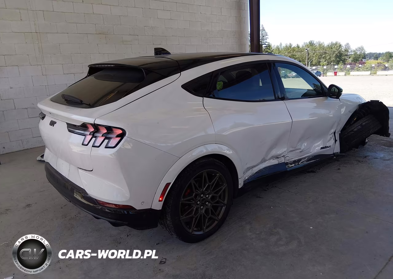 2024 Ford Mustang Mach-E Gt VIN:3FMTK4SX2RMA19616 - 4