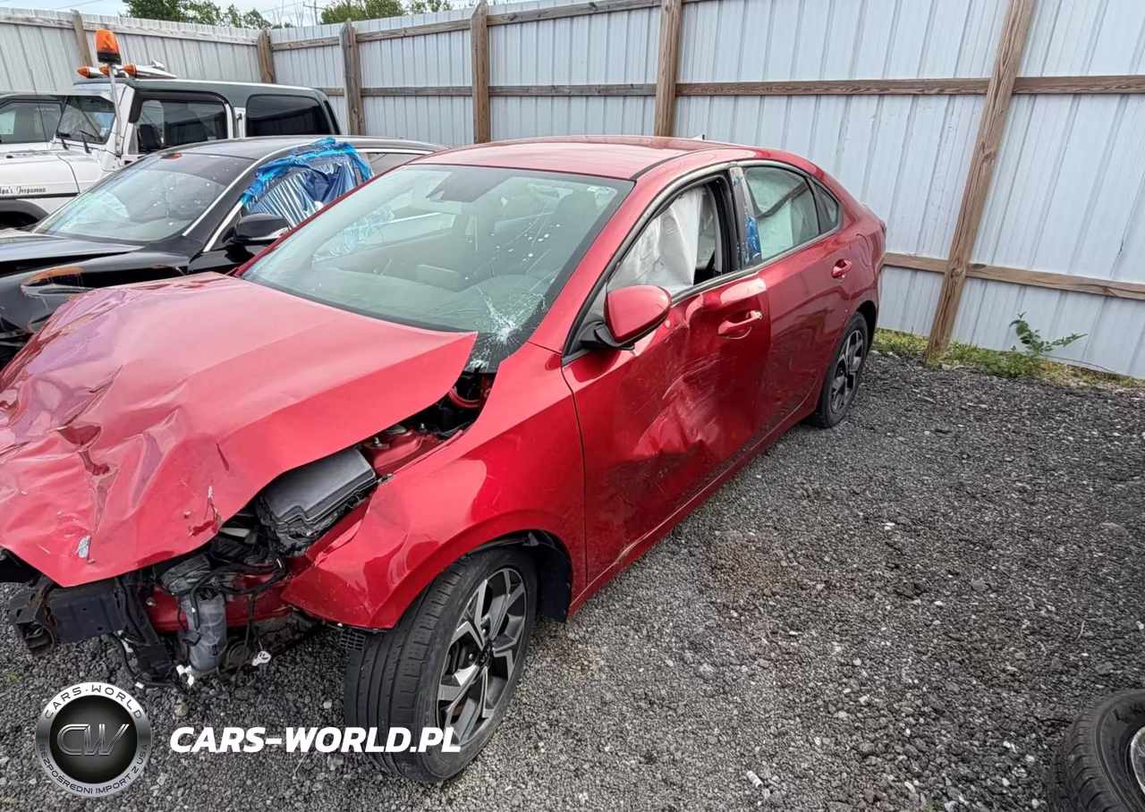 2019 Kia Forte Lxs