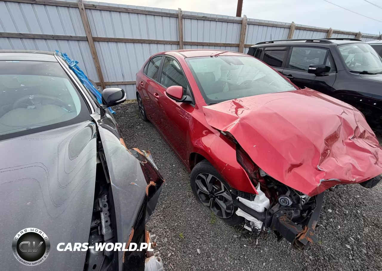 2019 Kia Forte Lxs VIN:3KPF24ADXKE031537 - 2