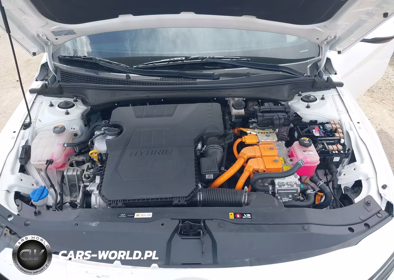 2024 Hyundai Elantra Hybrid Limited VIN:KMHLN4DJ9RU104447 - 10