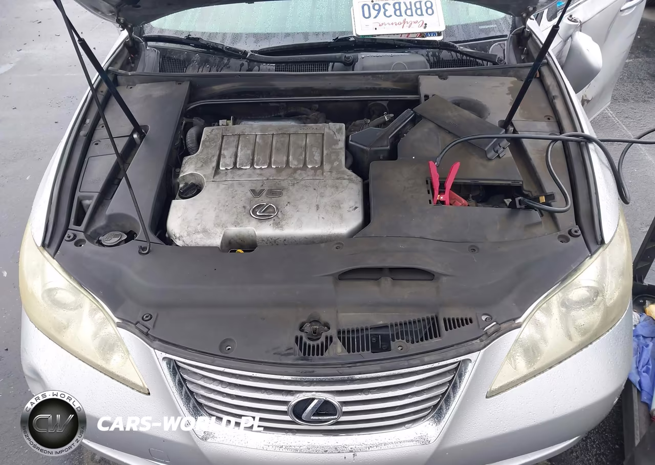 2009 Lexus Es 350 VIN:JTHBJ46G592331643 - 10