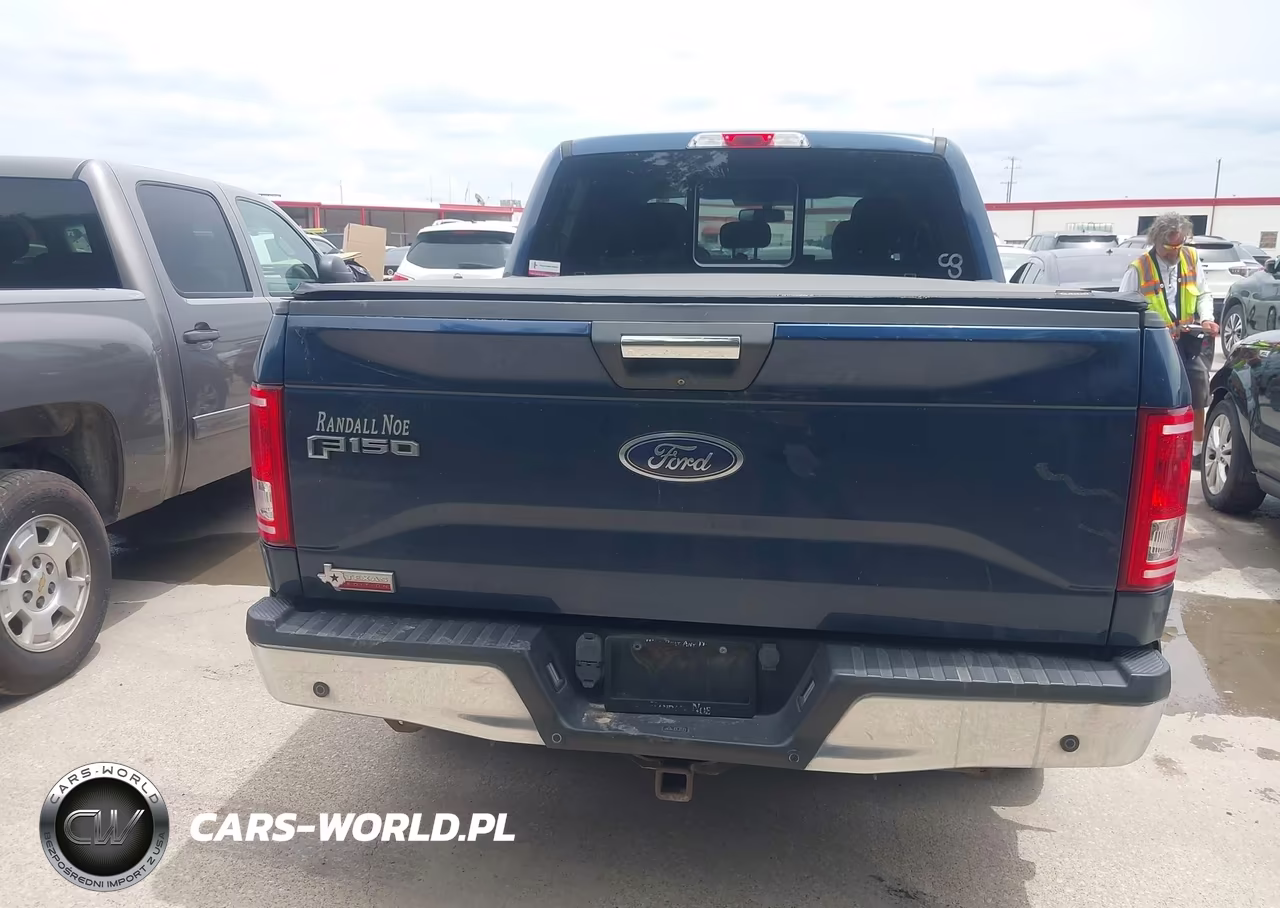 2017 Ford F-150 Xlt VIN:1FTEW1CP0HKC32486 - 16