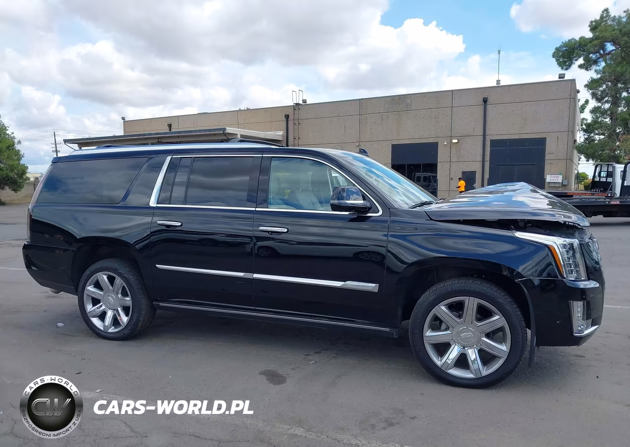 2017 Cadillac Escalade Esv Premium Luxury VIN:1GYS4JKJ5HR305651 - 13