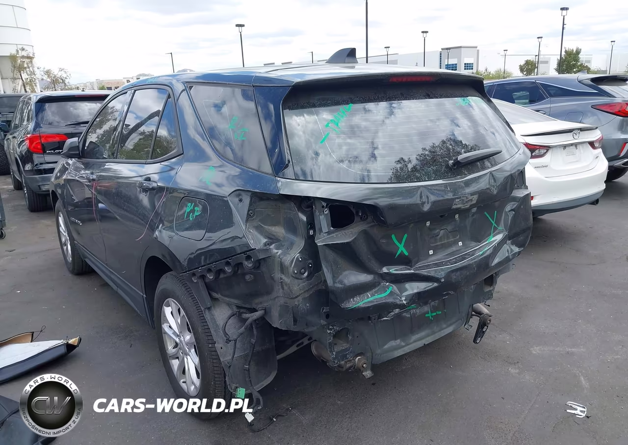 2019 Chevrolet Equinox Ls VIN:3GNAXHEV1KS600600 - 6