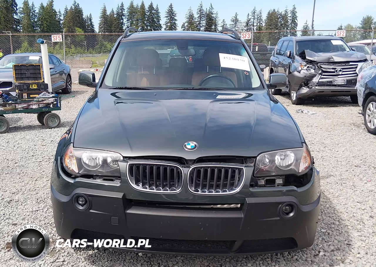 2005 BMW X3 3.0I VIN:WBXPA93415WD19027 - 12