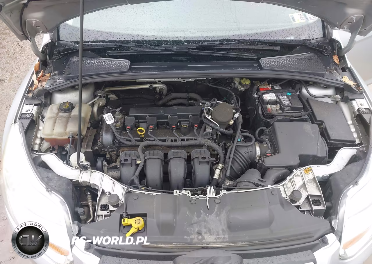 2014 Ford Focus Se VIN:1FADP3F21EL417663 - 10