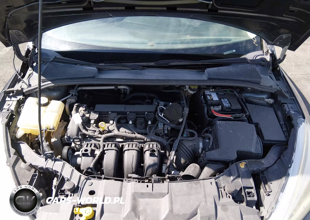 2015 Ford Focus Se VIN:1FADP3K29FL295139 - 10