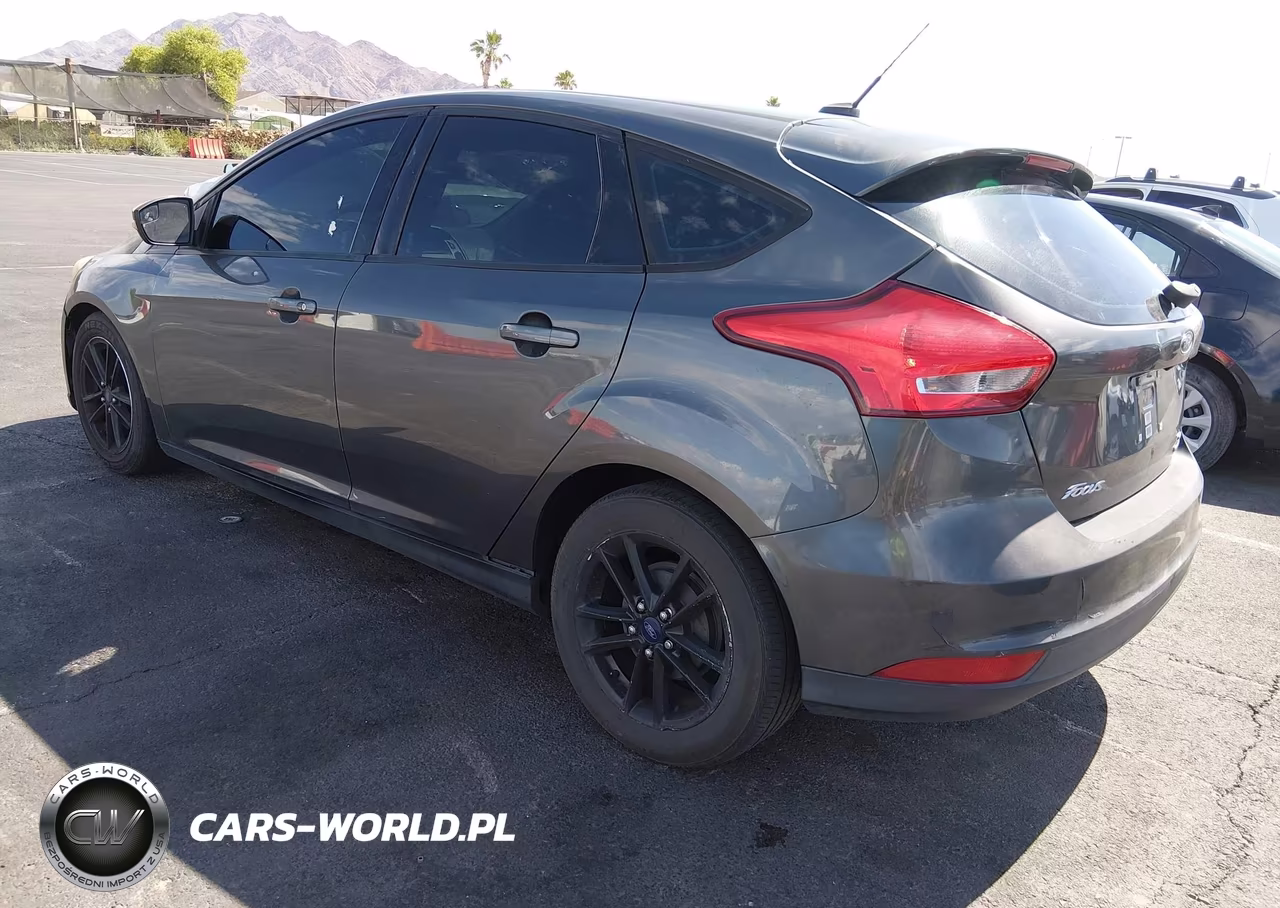 2015 Ford Focus Se VIN:1FADP3K29FL295139 - 3