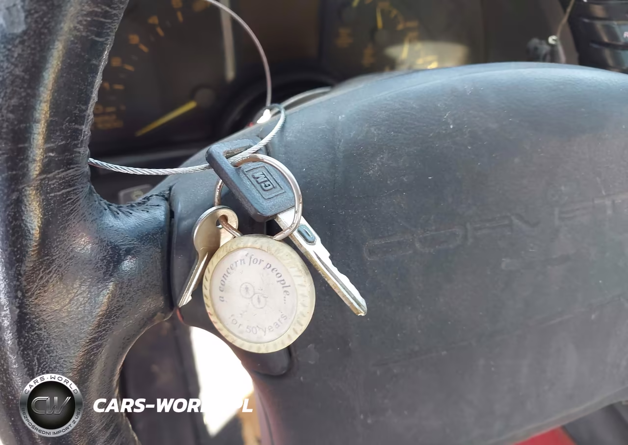 1992 Chevrolet Corvette VIN:1G1YY23P8N5105453 - 11