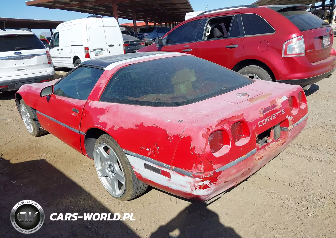 1992 Chevrolet Corvette VIN:1G1YY23P8N5105453 - 3