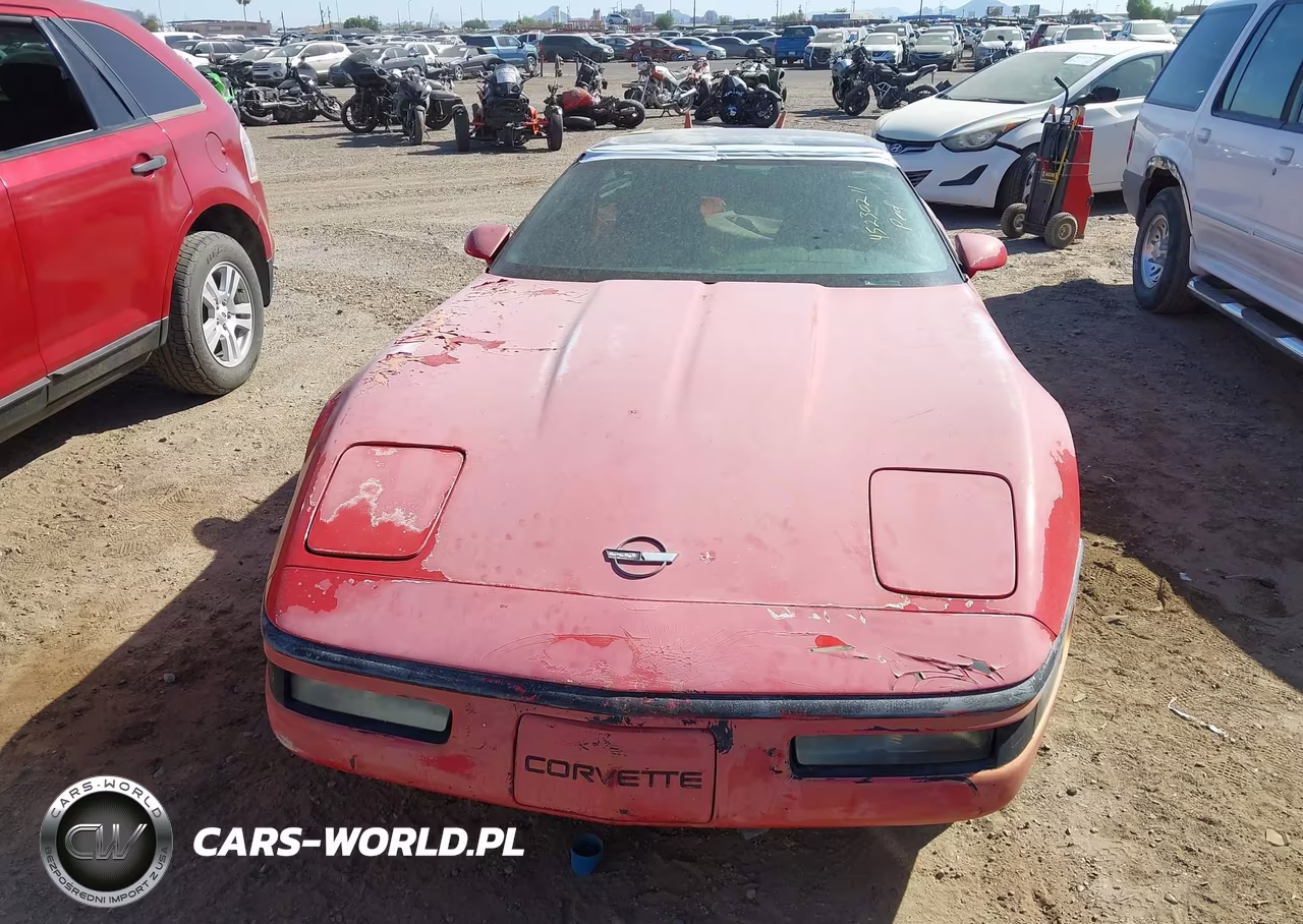 1992 Chevrolet Corvette VIN:1G1YY23P8N5105453 - 6