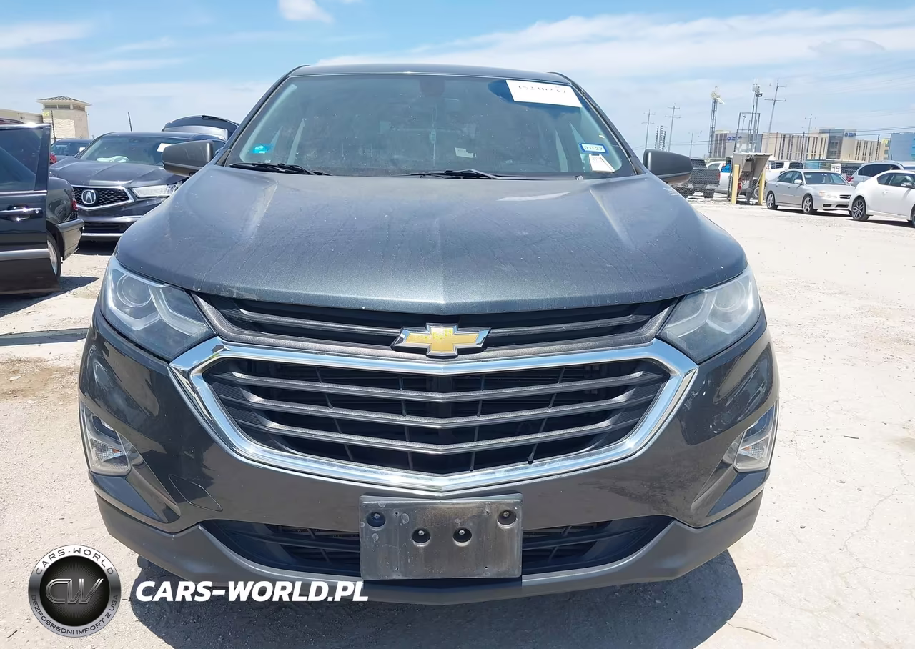 2019 Chevrolet Equinox Ls VIN:3GNAXHEV8KS545787 - 12