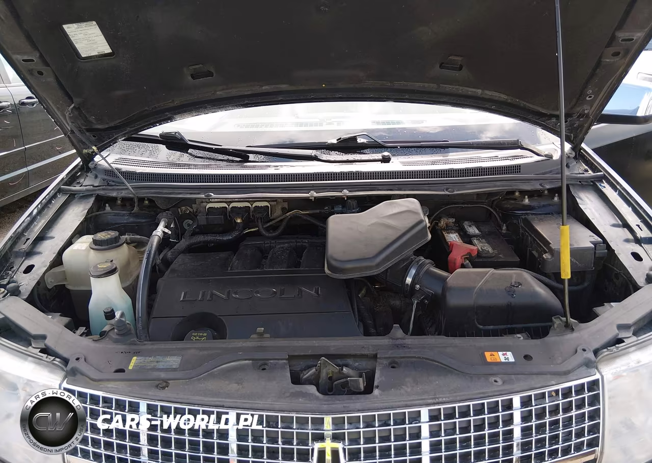 2010 Lincoln Mkx VIN:2LMDJ8JC1ABJ34389 - 10